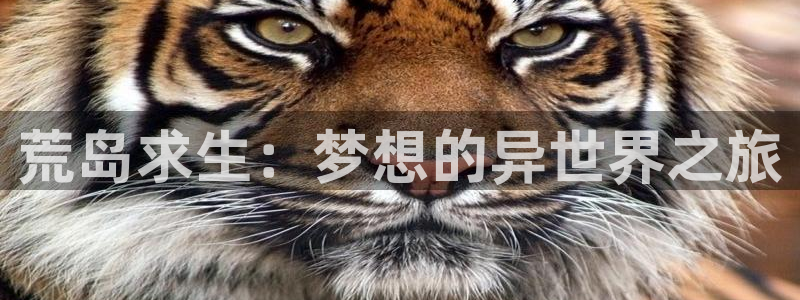 58动漫网站官网免费下载：荒岛求生：梦想的异世界之旅